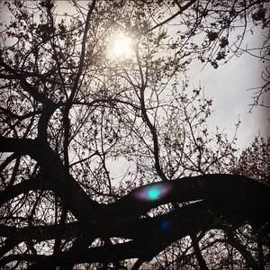 Meet your Posher, Serena